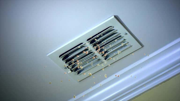Best Air Duct Cleaning Company Near Me  in North Great River, NY